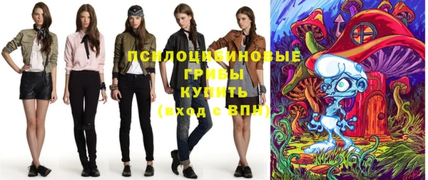 PSILOCYBIN Баксан