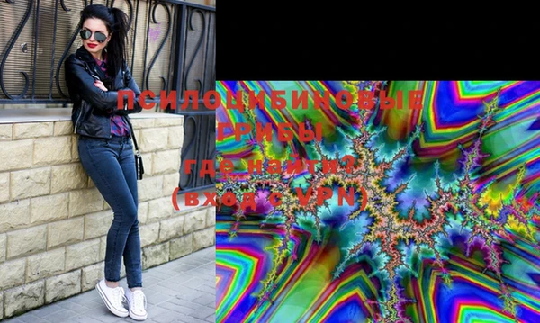 PSILOCYBIN Баксан