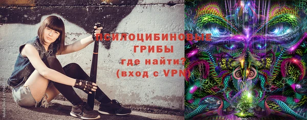PSILOCYBIN Баксан