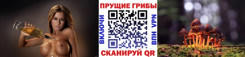 KRAKEN ТОР  дарк нет состав  Галлюциногенные грибы мухоморы  Кубинка 